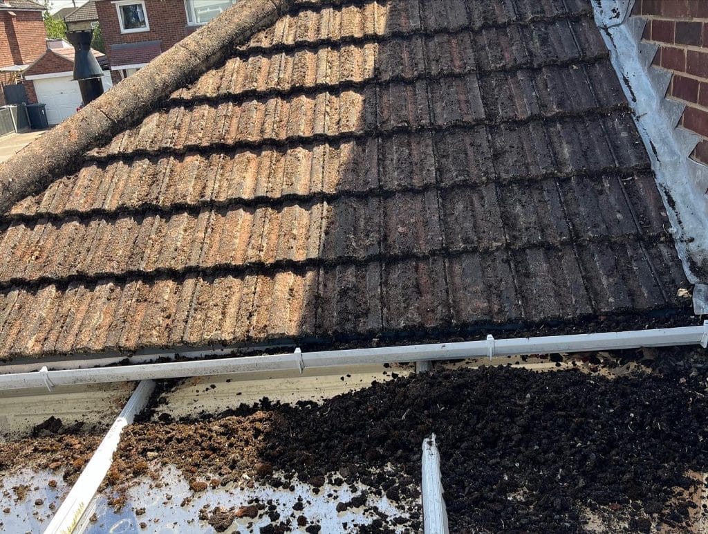 Conservatory roof cleaning service in Lincoln